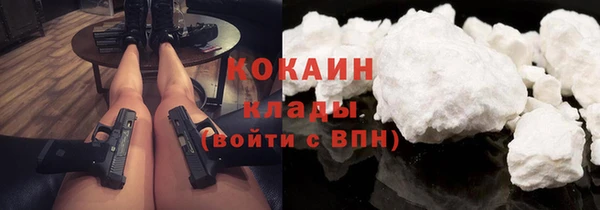 гидра Белокуриха