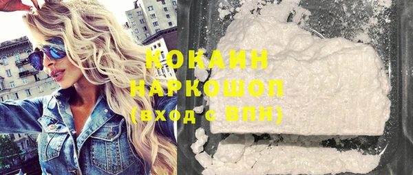 мдпв Михайлов