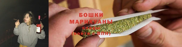 мдпв Михайлов