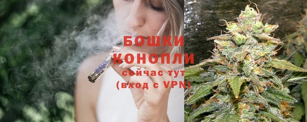 ешки Медногорск