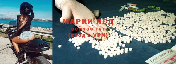 спиды Медвежьегорск