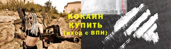 мдпв Михайлов