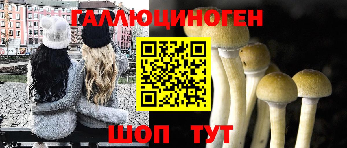 Галлюциногенные грибы Psilocybine cubensis Бирск