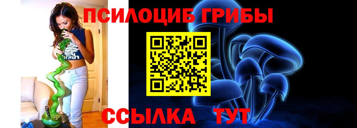 Бирск  где найти   Вход с VPN  Псилоцибиновые грибы ЛСД 